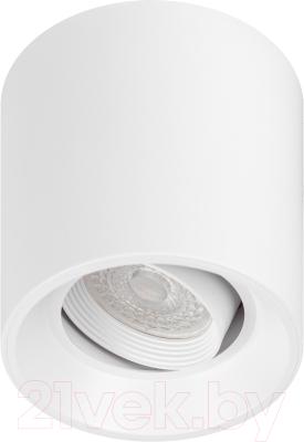 Спот ЭРА OL25-1 / Б0054383