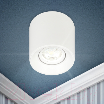 Спот ЭРА OL25-1 / Б0054383