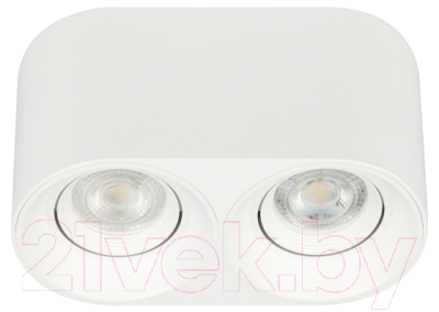 Спот ЭРА OL25-2 / Б0054384 - фото