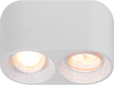 Спот ЭРА OL25-2 / Б0054384