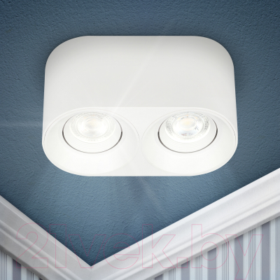 Спот ЭРА OL25-2 / Б0054384