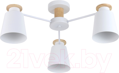 Люстра Rivoli Adna 9112-303 / Б0053435 - фото