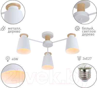 Люстра Rivoli Adna 9112-303 / Б0053435