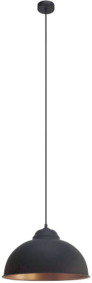 Потолочный светильник Eglo Truro 2 49247 - фото