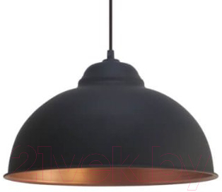 Потолочный светильник Eglo Truro 2 49247