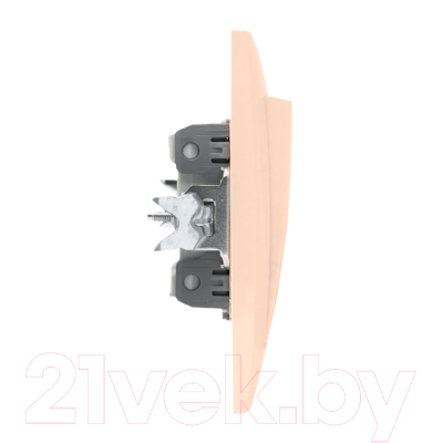 Выключатель EKF PROxima Валенсия / EWV10-123-20