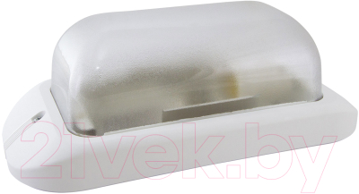 Светильник ЖКХ TDM SQ0312-0009 - фото