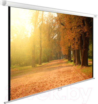 Проекционный экран Cactus CS-PSWE-200X125-WT