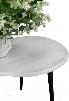 Журнальный столик Мебелик BeautyStyle 19