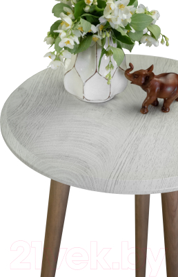 Журнальный столик Мебелик BeautyStyle 2