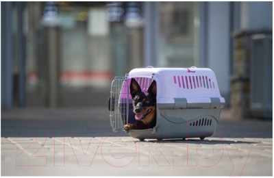 Переноска для животных ZooExpress Турне авиа 16412
