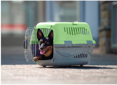 Переноска для животных ZooExpress Турне авиа 16413