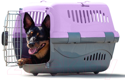 Переноска для животных ZooExpress Турне авиа 17412 (S, фиолетовый)