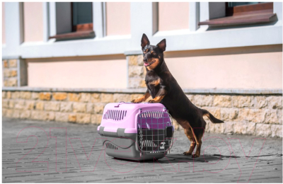 Переноска для животных ZooExpress Турне авиа 17412 (S, фиолетовый)