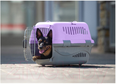 Переноска для животных ZooExpress Турне авиа 17412 (S, фиолетовый)