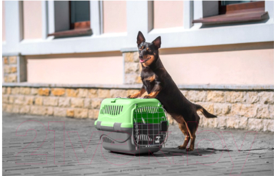 Переноска для животных ZooExpress Турне авиа 17413 (S, зеленый)