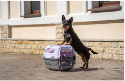 Переноска для животных ZooExpress Турне авиа 18411 (L, голубой)