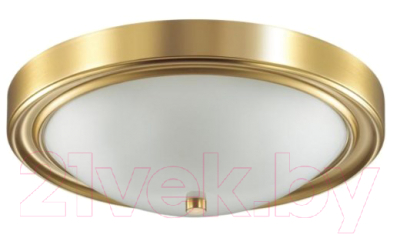 Потолочный светильник Lumion Nina 5259/3C - фото