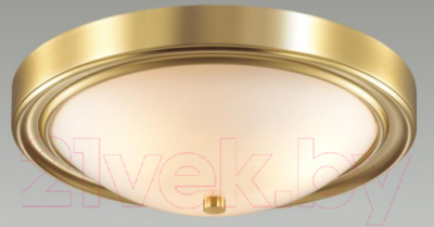 Потолочный светильник Lumion Nina 5259/3C