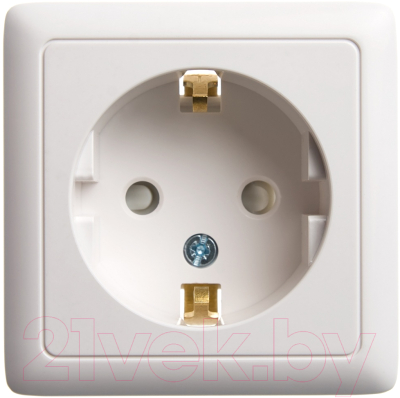 Розетка Schneider Electric Хит RA16-138-B - фото