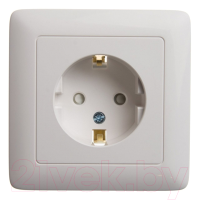 Розетка Schneider Electric Хит RS16-136-B - фото