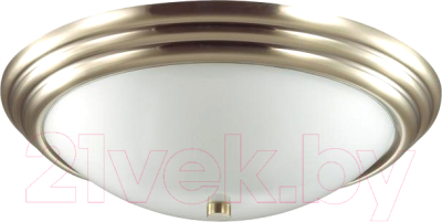 Потолочный светильник Lumion Kayla 5262/3C - фото