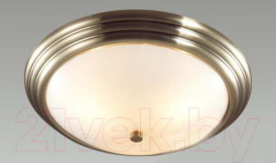Потолочный светильник Lumion Kayla 5262/3C