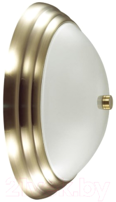 Потолочный светильник Lumion Kayla 5262/2C