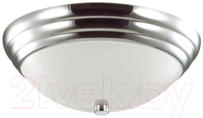 Потолочный светильник Lumion Kayla 5261/2C - фото