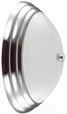 Потолочный светильник Lumion Kayla 5261/2C