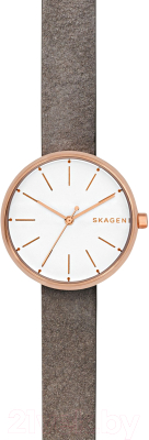 Часы наручные женские Skagen SKW2644 - фото