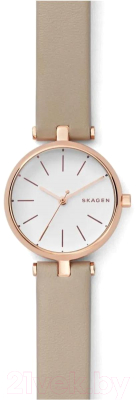 Часы наручные женские Skagen SKW2643 - фото