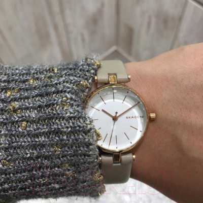 Часы наручные женские Skagen SKW2643