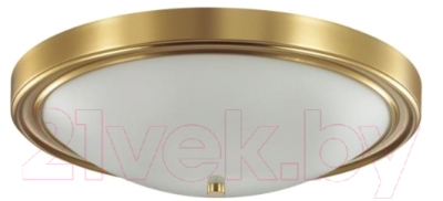 Потолочный светильник Lumion Nina 5259/4C - фото