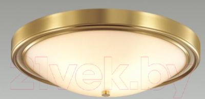 Потолочный светильник Lumion Nina 5259/4C