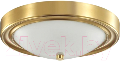 Потолочный светильник Lumion Nina 5259/2C - фото