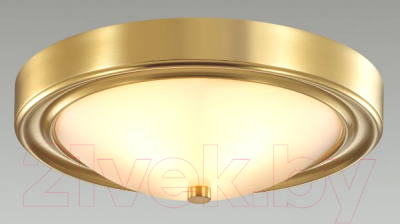 Потолочный светильник Lumion Nina 5259/2C