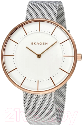 Часы наручные женские Skagen SKW2583 - фото