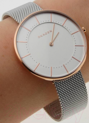 Часы наручные женские Skagen SKW2583