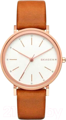 Часы наручные женские Skagen SKW2488 - фото