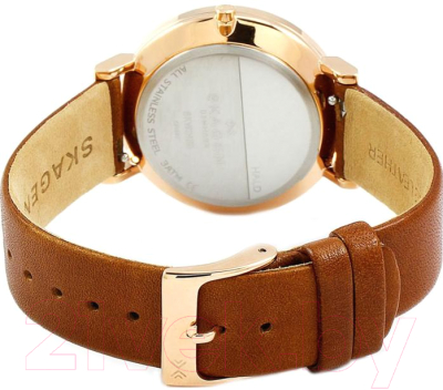 Часы наручные женские Skagen SKW2488