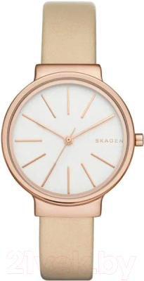 Часы наручные женские Skagen SKW2481 - фото