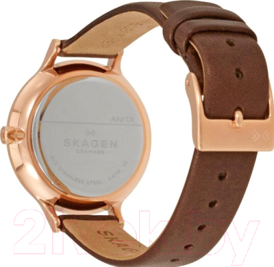 Часы наручные женские Skagen SKW2472