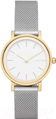 Часы наручные женские Skagen SKW2445 - фото