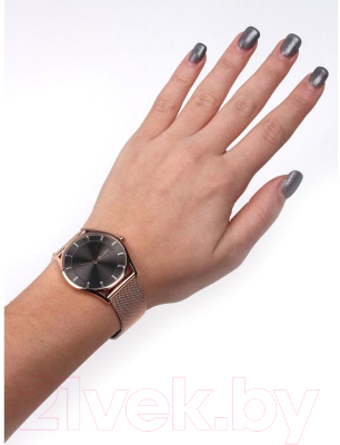 Часы наручные женские Skagen SKW2378