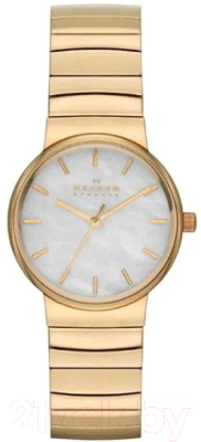 Часы наручные женские Skagen SKW2199 - фото