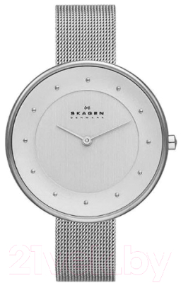 Часы наручные женские Skagen SKW2140 - фото
