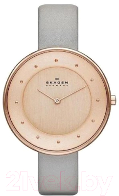 Часы наручные женские Skagen SKW2139 - фото