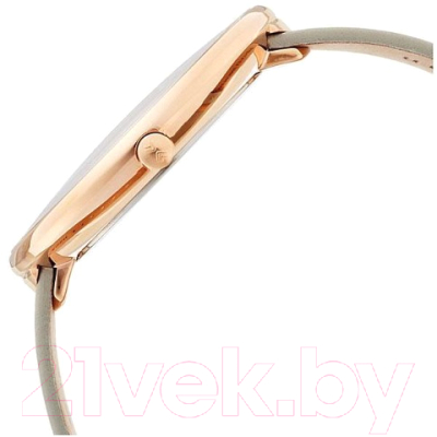 Часы наручные женские Skagen SKW2139