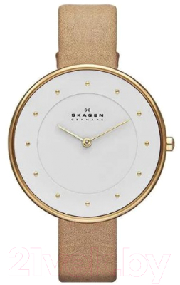 Часы наручные женские Skagen SKW2137 - фото